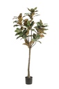 Kunstpflanze - Magnolia Grandiflora - 150 cm