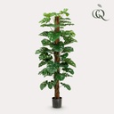 Kunstpflanze - Monstera Deliciosa - Löcherpflanze - 180 cm
