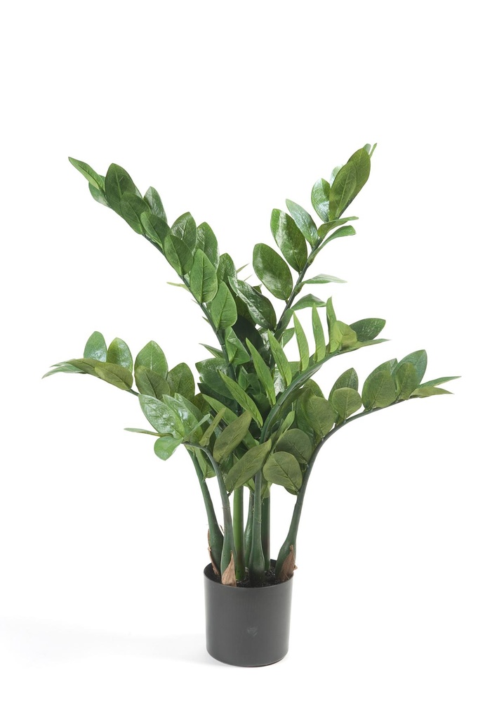 Kunstpflanze - Zamioculcas - Zimerpalme - 70 cm