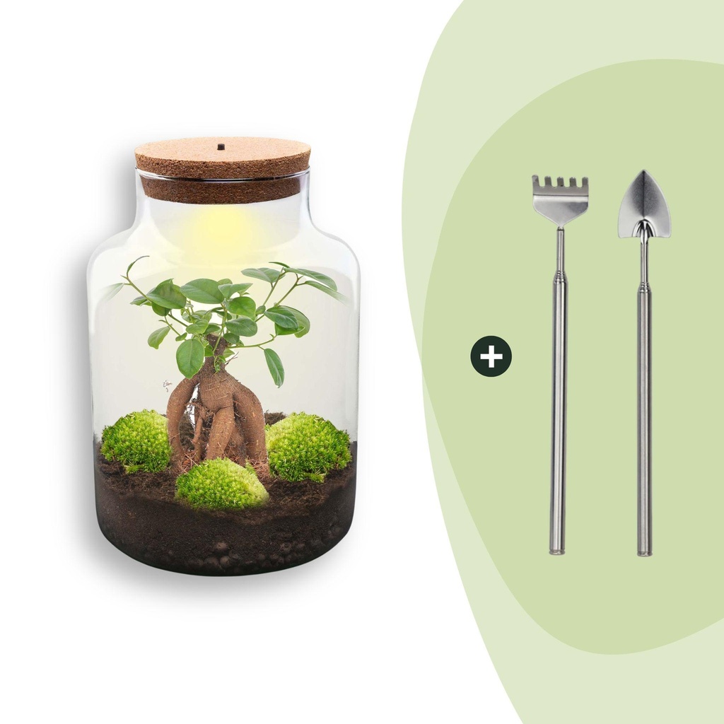 Flaschengarten - Milky mit bonsai - ↕ 30 cm - Rake + Shovel