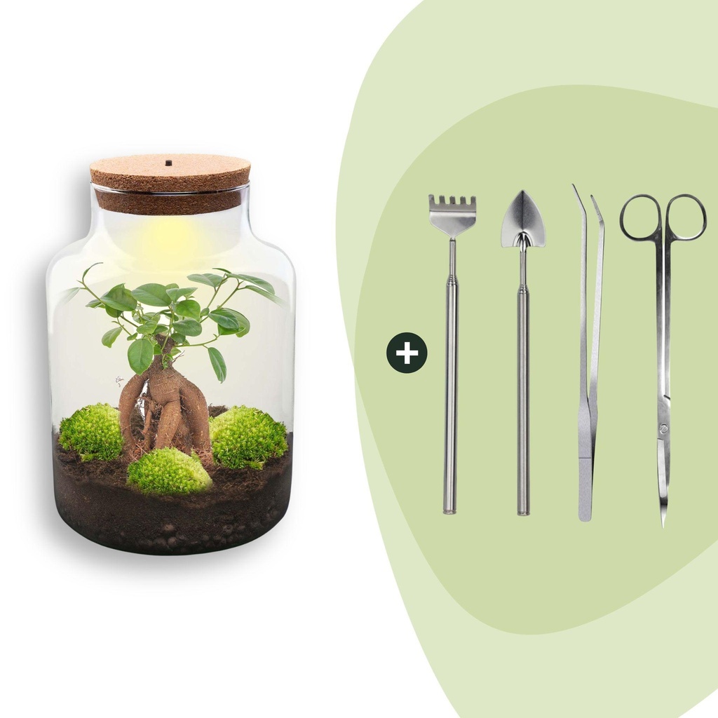 Flaschengarten - Milky mit bonsai - ↕ 30 cm - Rake + Shovel + Tweezer + Scissors