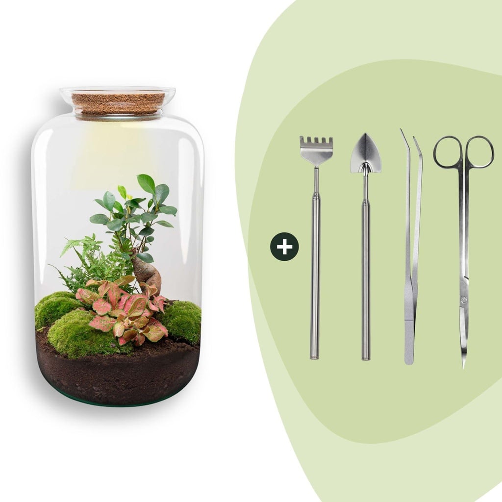 Flaschengarten - Sven Bonsai - ↕ 43 cm - Rake + Shovel + Tweezer + Scissors