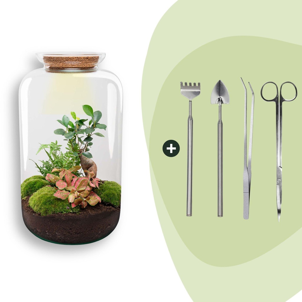 Flaschengarten - Sven Bonsai - Höhe ca. 43 cm - Rake + Shovel + Tweezer + Scissors