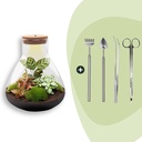 Flaschengarten - Sam XL Rot - Höhe ca. 35 cm - Rake + Shovel + Tweezer + Scissors