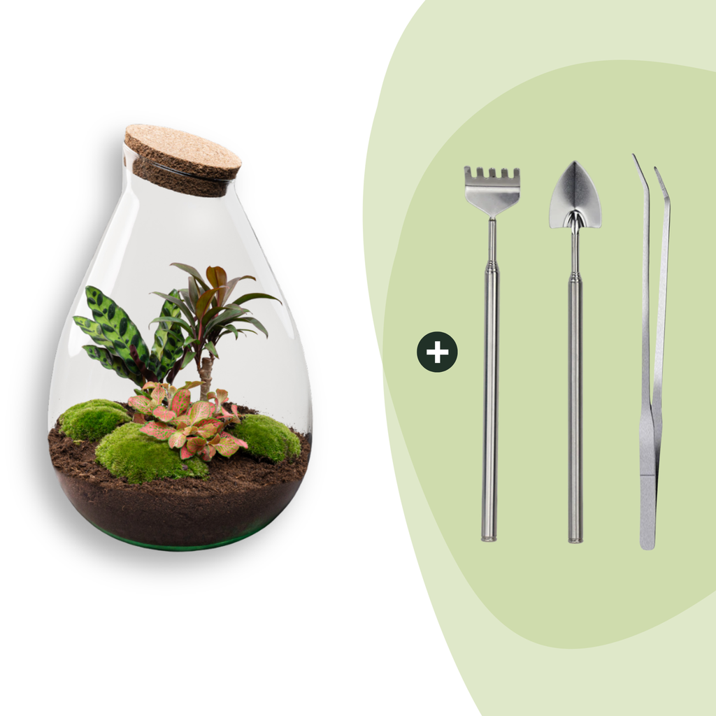 Flaschengarten - Drop XL Rot - ↕ 37 cm - Rake + Shovel + Tweezer