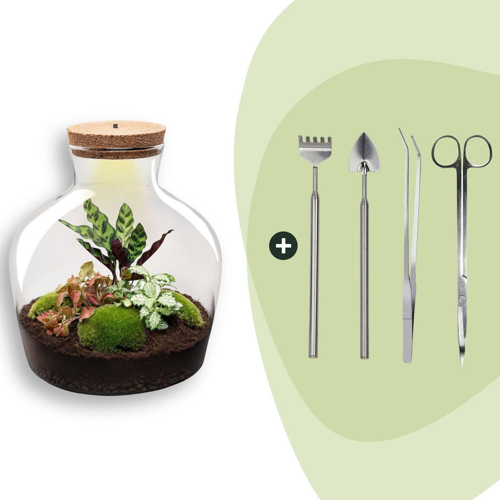 Flaschengarten - Fat Joe Rot - Höhe ca. 30 cm - Rake + Shovel + Tweezer + Scissors