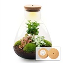 Flaschengarten - Sam mit Lampe - Höhe ca. 30 cm - Normal