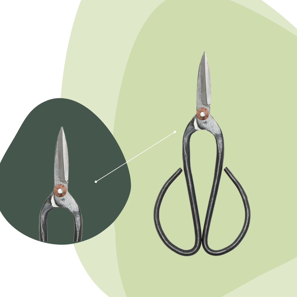 Bonsai shears L - 19 cm - Bonsai tool