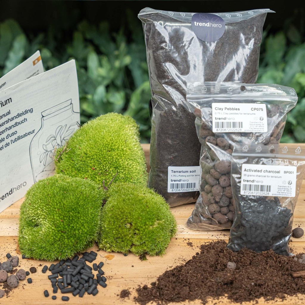 Pflanzen-Terrarium Nachfüll- & Startpaket - Größe L/XL