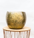 Ellen Messing - 25x19