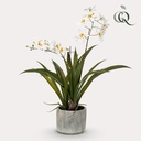 Kunstpflanze - Orchidee - Weiß - 45cm