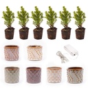 Mini-Weihnachtsbaum Set 6 - Inklusive Topf Set Madrid + 20 LED Lights
