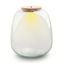 Terrarium Flasche mit Beleuchtung - Emma - Ø 23 cm Höhe ca. 25 cm