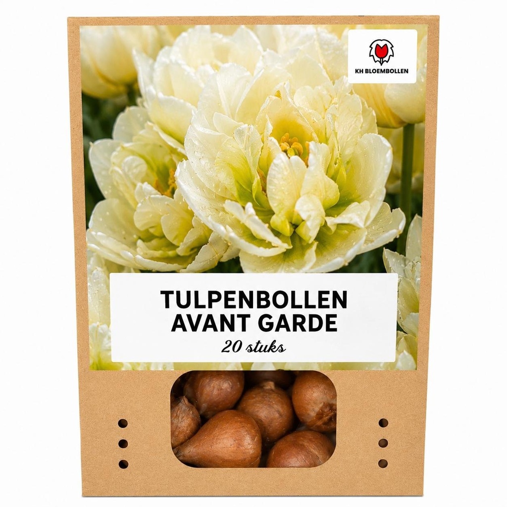 Tulpenzwiebeln Avant Garde – 20 Stück | KH Bloembollen® | Gelbe Doppelblütige Tulpe – Einzigartig, Voll & Elegant – Für Garten oder Topf – Größe 11/12 – Frisch vom Züchter