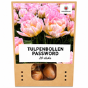 Tulpenzwiebeln Password – 20 Stück | KH Bloembollen® | Rosa Doppelblütige Tulpe – Voll, Sanft & Romantisch – Für Garten oder Topf – Größe 11/12 – Frisch vom Züchter