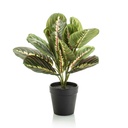 Maranta grün - 30cm - In schwarzem Topf - Kunstpflanze - ARTIFICIAL