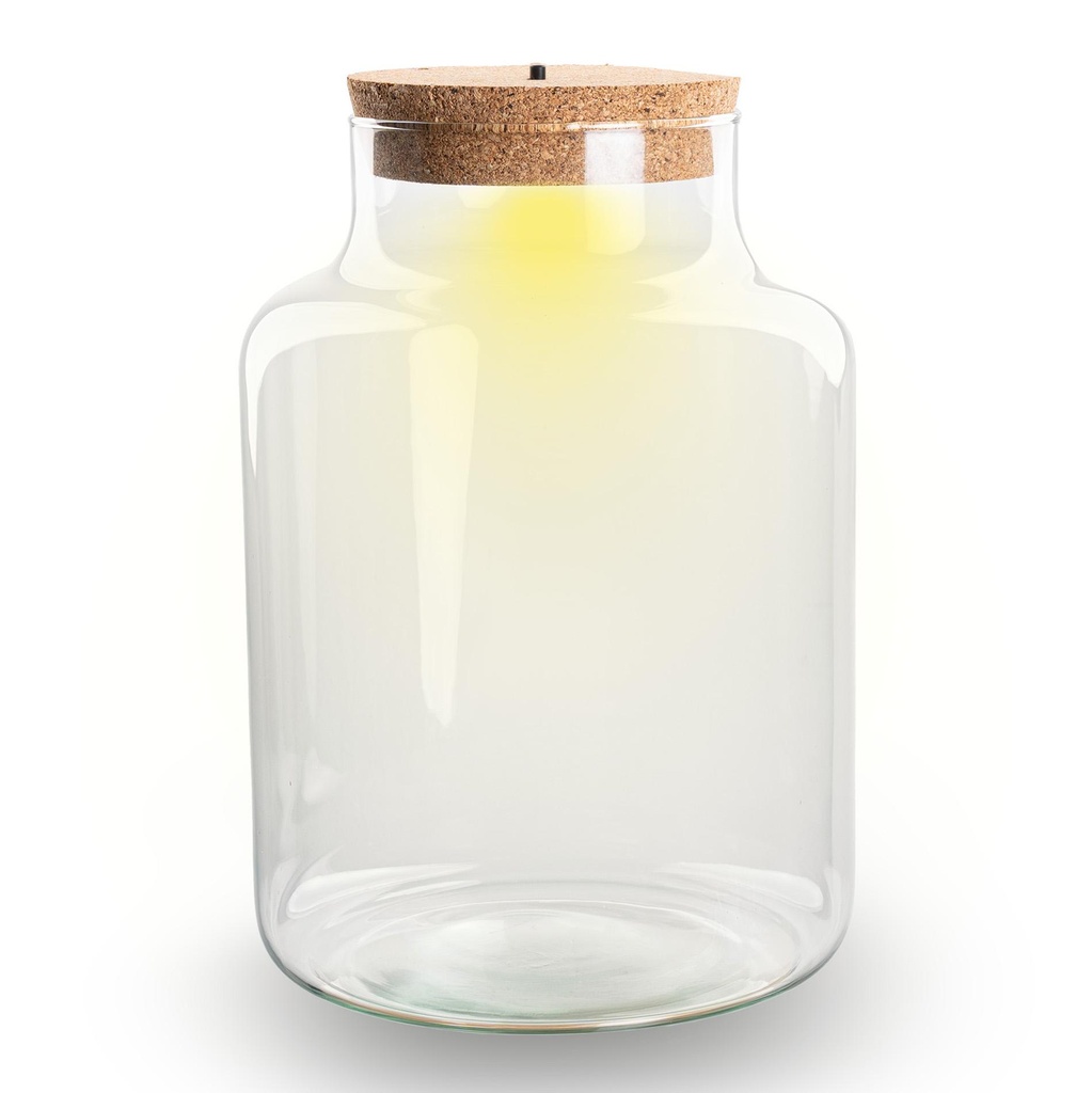 Flaschengarten mit LED-Licht im Korken - Little Milky Terrarium mit Licht ↑ 24,5 cm - Flaschengarten