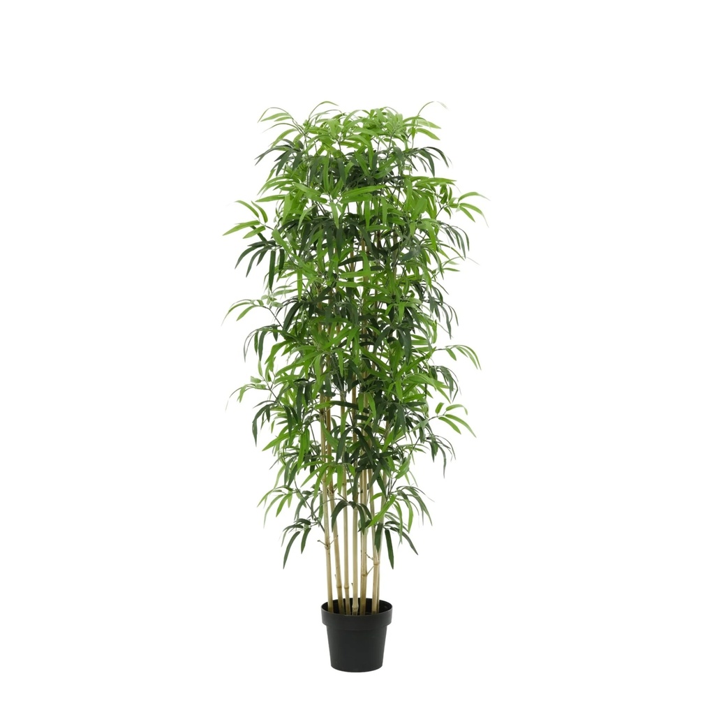 Künstlicher Bambus - 180cm