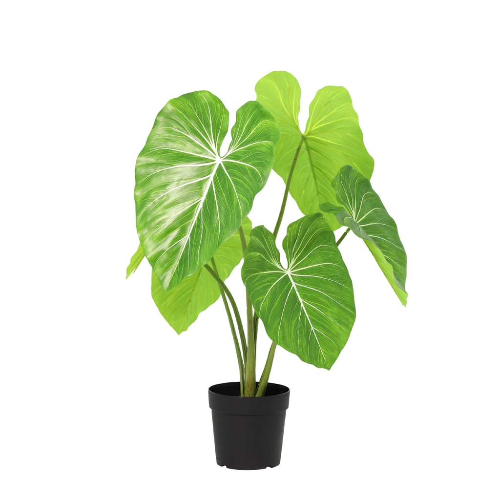 Künstlicher Philodendron - 100 cm