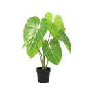 Künstlicher Philodendron - 100 cm