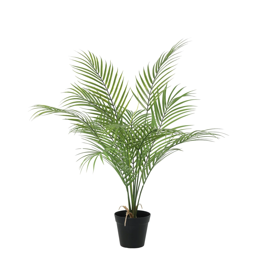Künstliche Kentia-Palme - 65 cm