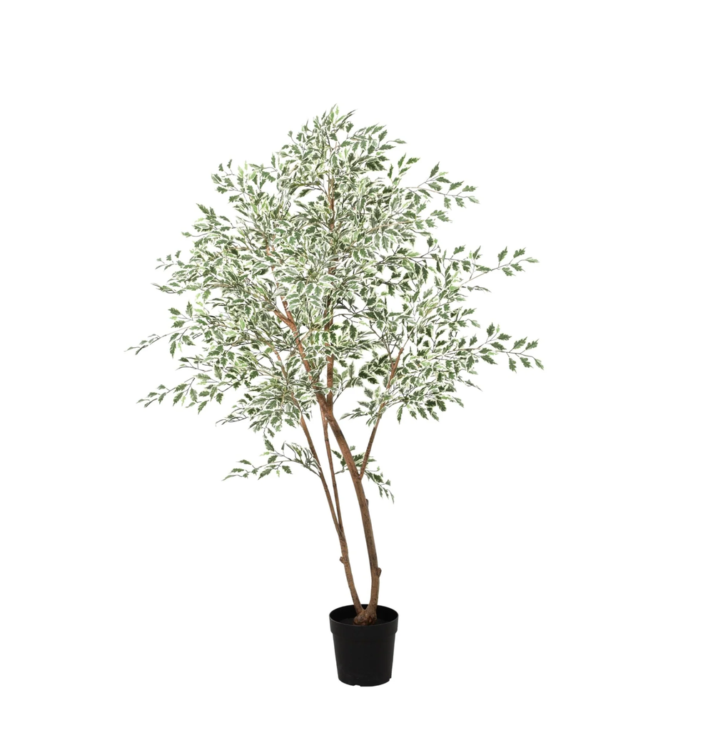 KÜNSTLICHER Ficus benjamina variegata - 185 cm