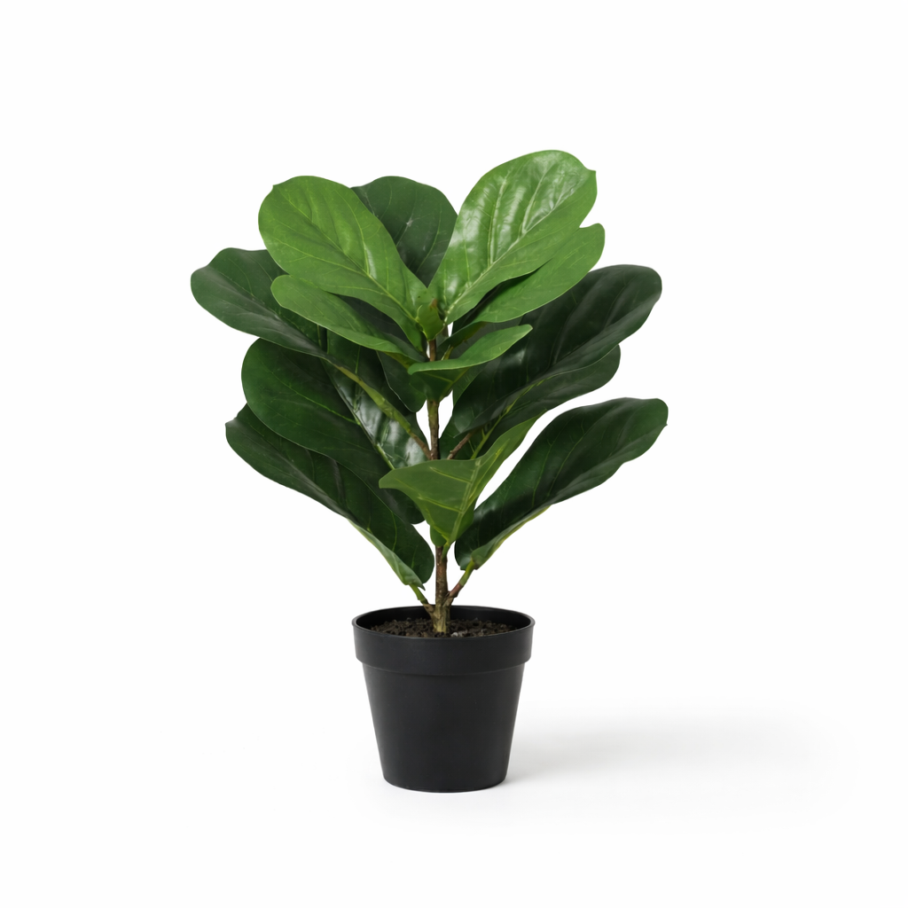 Künstlicher Ficus lyrata - 40cm