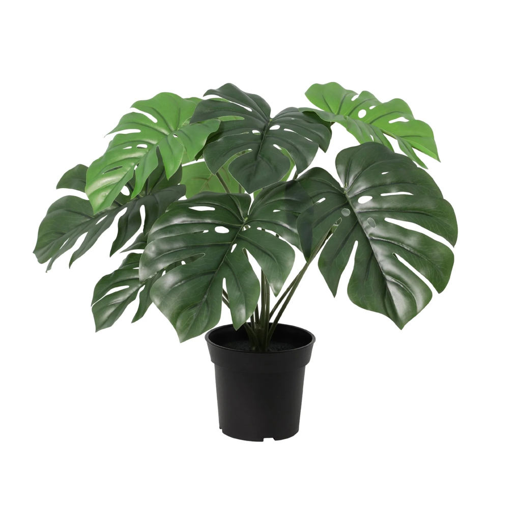 Künstliche Monstera Deliciosa - 45 cm