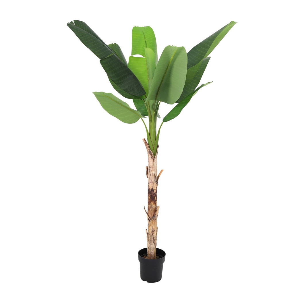 Künstliche Bananenpflanze Musa - 190 cm