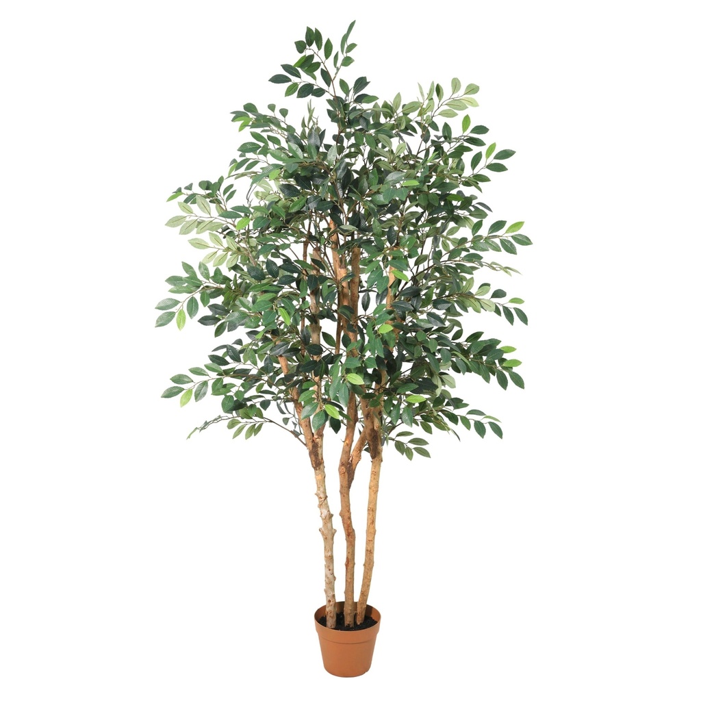 Künstlicher Ficus Exotica - 150cm