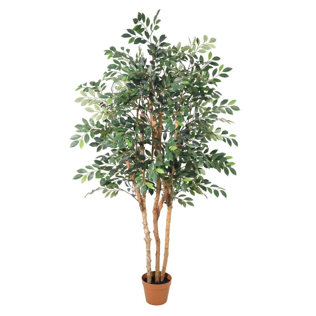 Künstlicher Ficus Exotica - 150cm