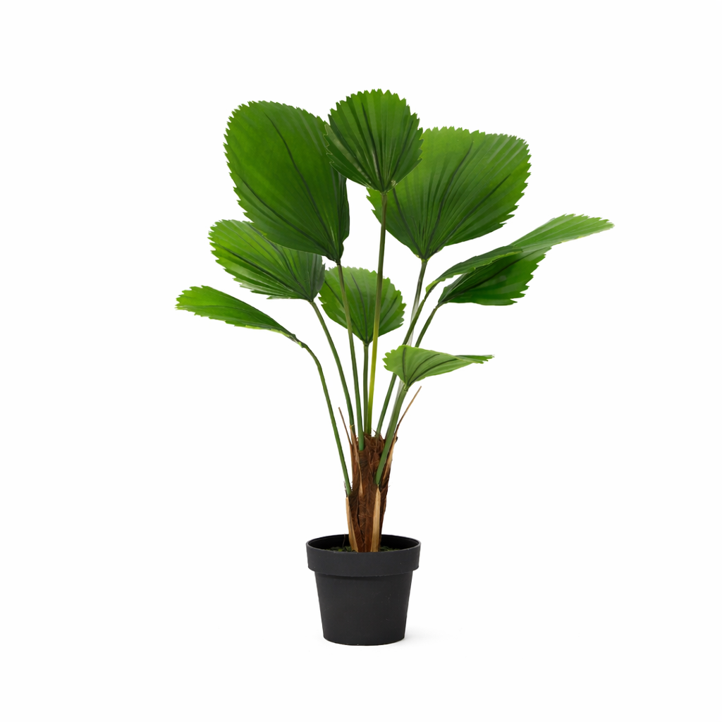 Künstliche Licuala Grandis - 104 cm