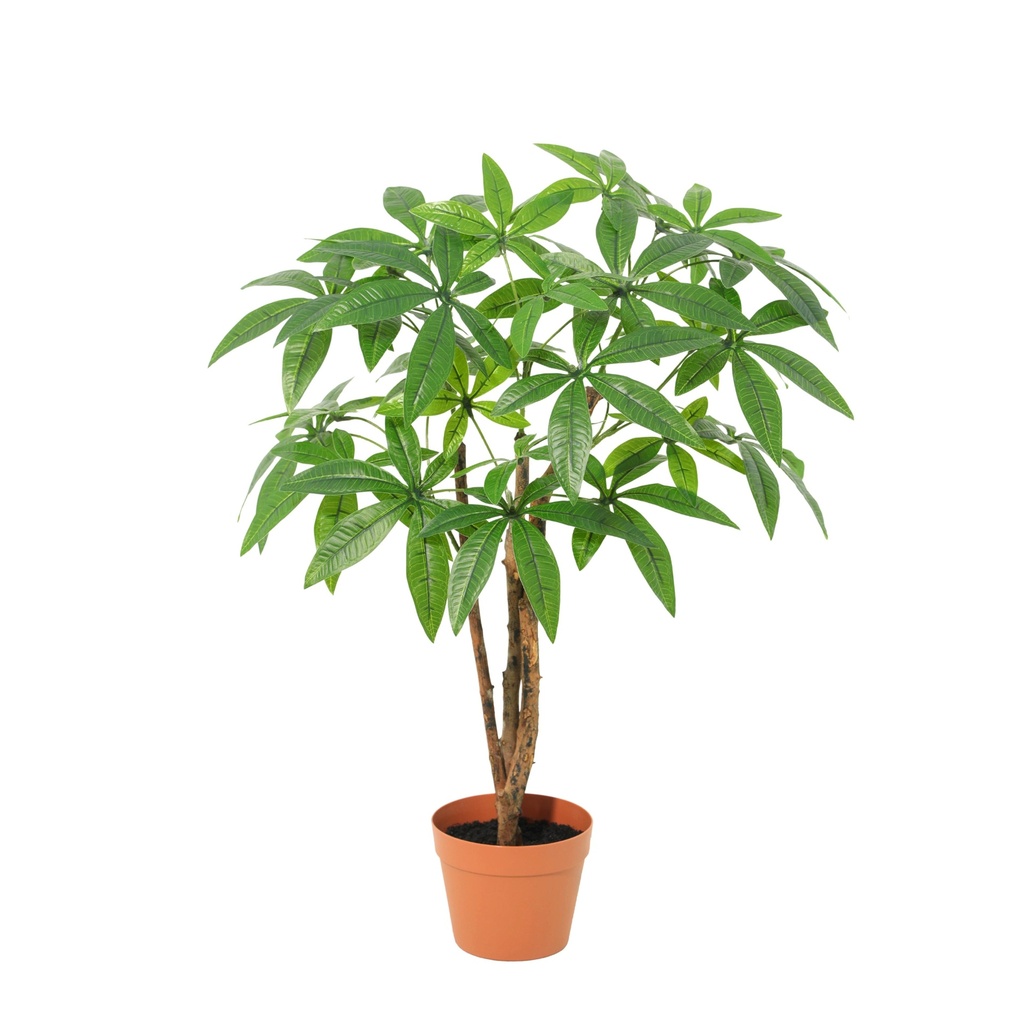Künstliche Pachira Aquatica - 86cm