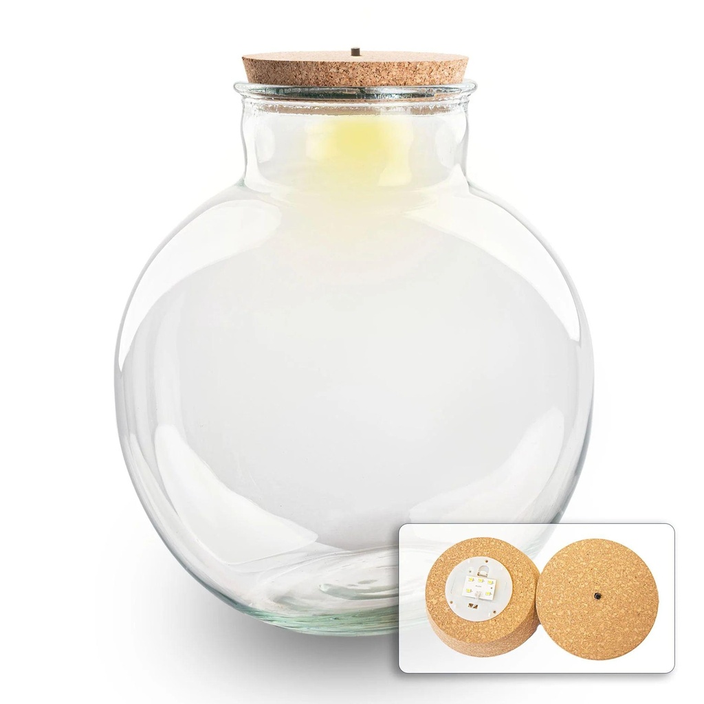 Terrarium Flasche mit (LED) Korken - Bolder Bob - Ø 30 cm Höhe ca. 31 cm - Mit LED-Korken
