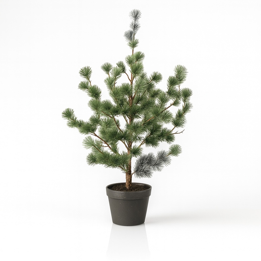 Kiefer (Cedar Pine) 80 cm – Kunstpflanze im Topf