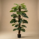 Monstera am Stamm 150 cm - Kunstpflanze