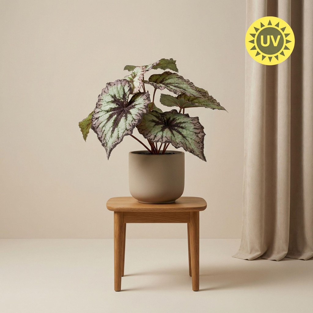 Begonia 26 cm - Kunstpflanze im Topf – UV - Künstliche Pflanze