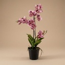 Orchidee Vanda Kunstpflanze 60 cm - Altrosa - Im Topf - Künstliche Pflanze