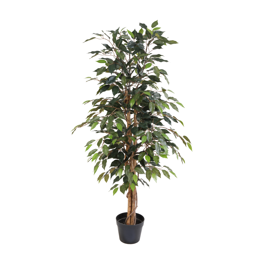 Künstlicher Ficus Benjamina - 130 cm