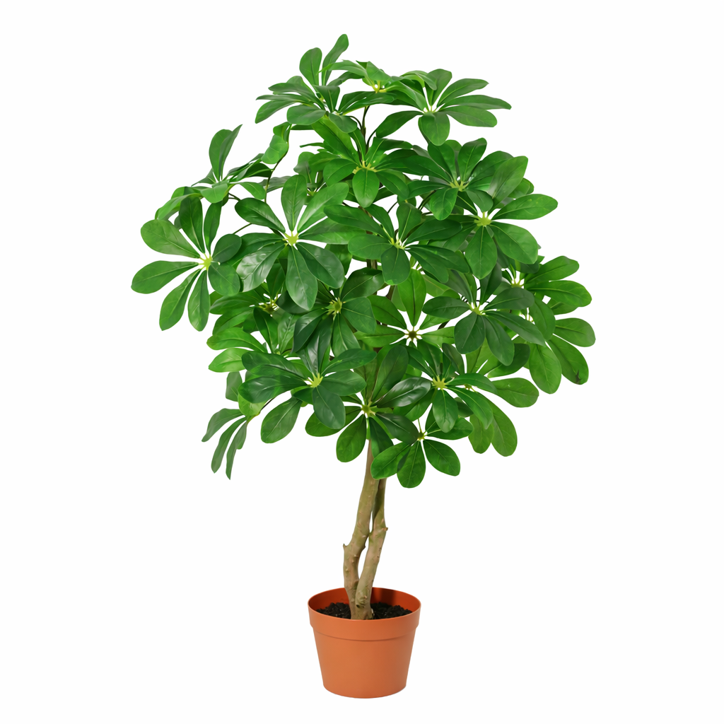 Künstliche Schefflera Arboricola - 120cm