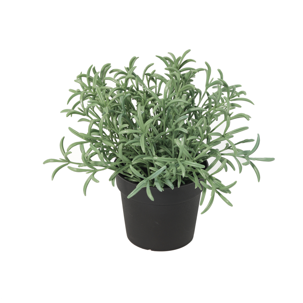 Künstliches Helichrysum italicum - 18cm