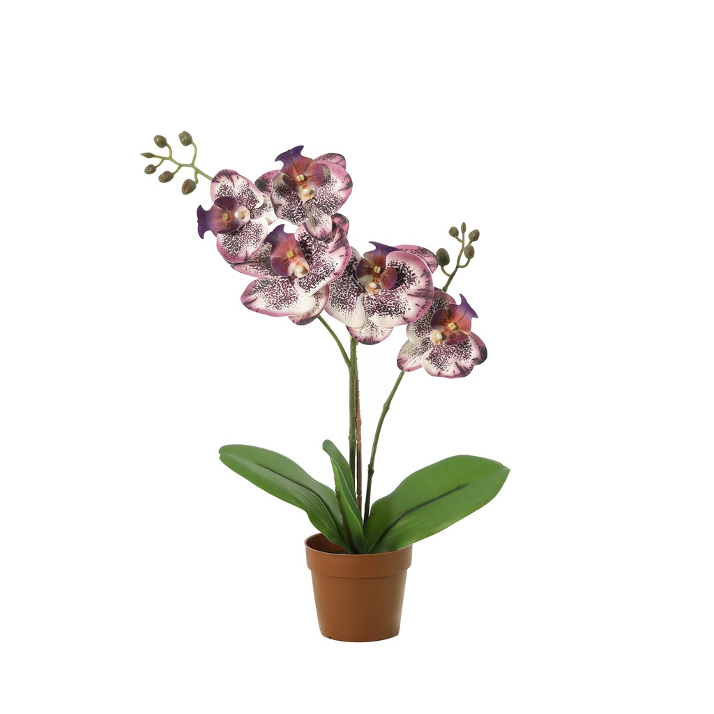 Künstliche Phalaenopsis-Orchidee lila - 41cm