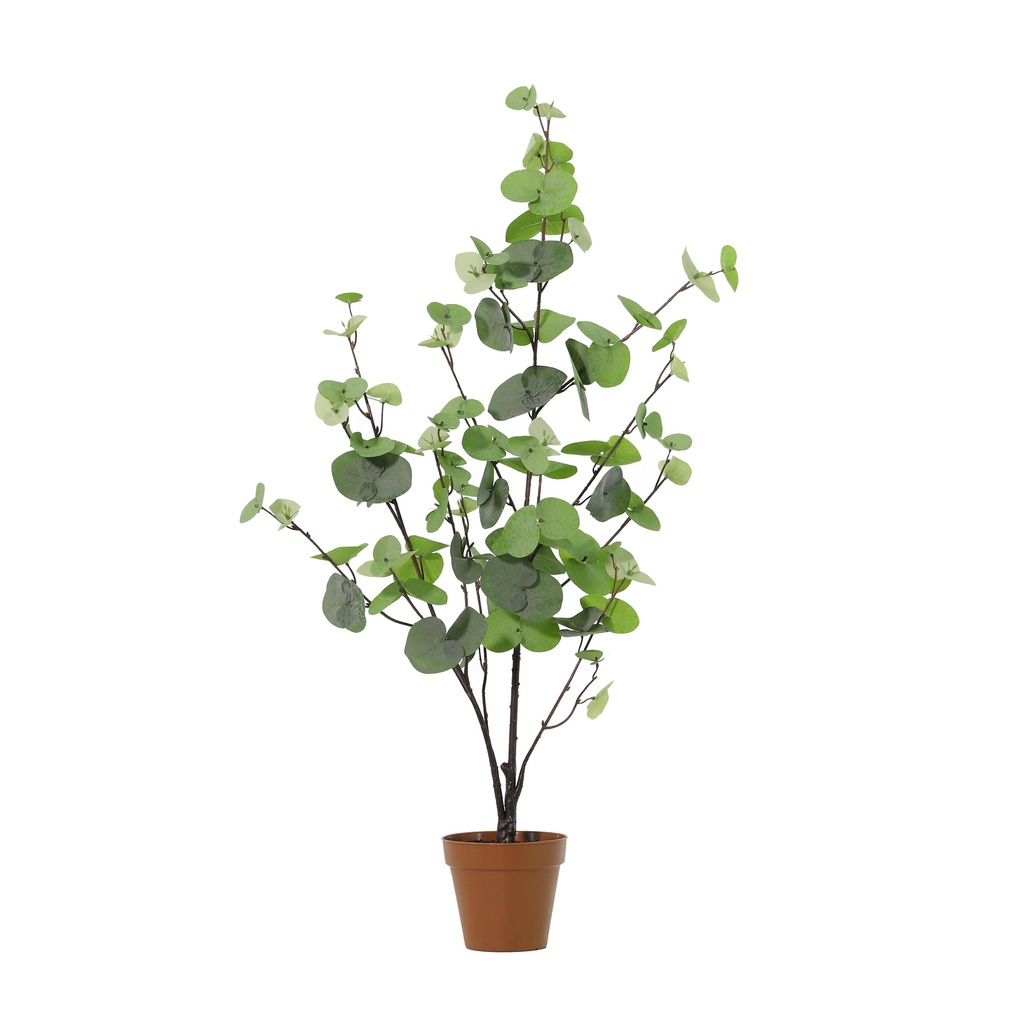 Künstlicher Eukalyptus grün - 86cm