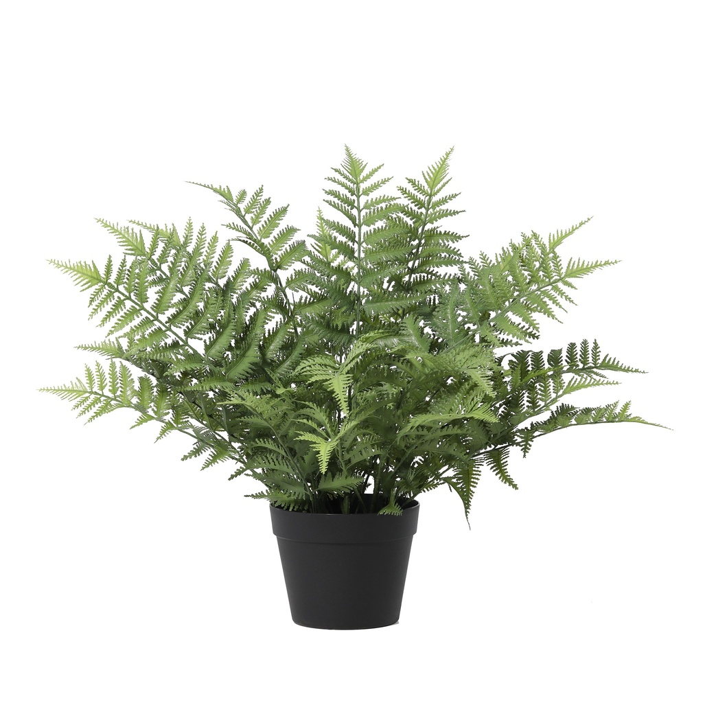 Künstliche Nephrolepis exaltata - 59 cm