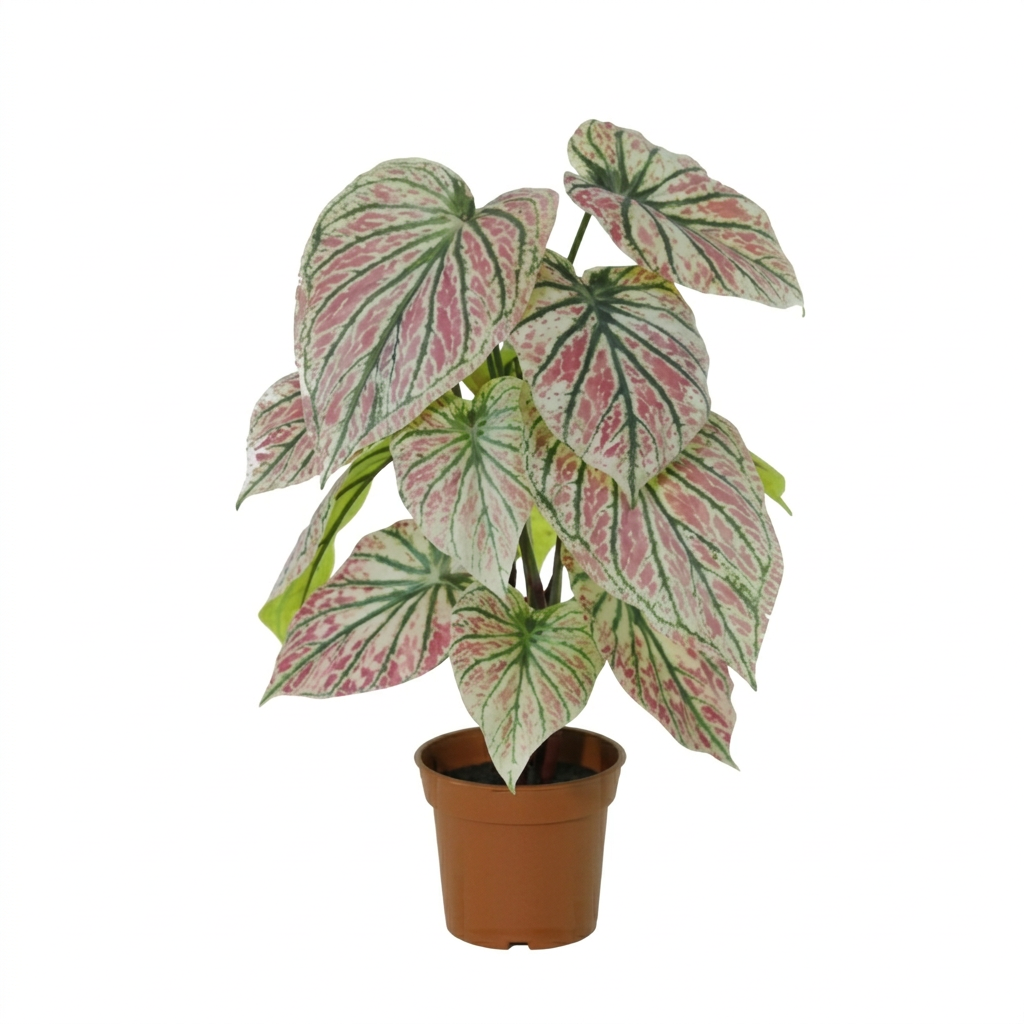 Künstliches Caladium grün/rosa - 57cm