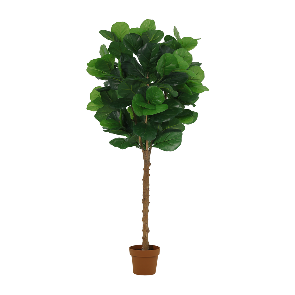 Künstlicher Ficus lyrata Baum - 160cm