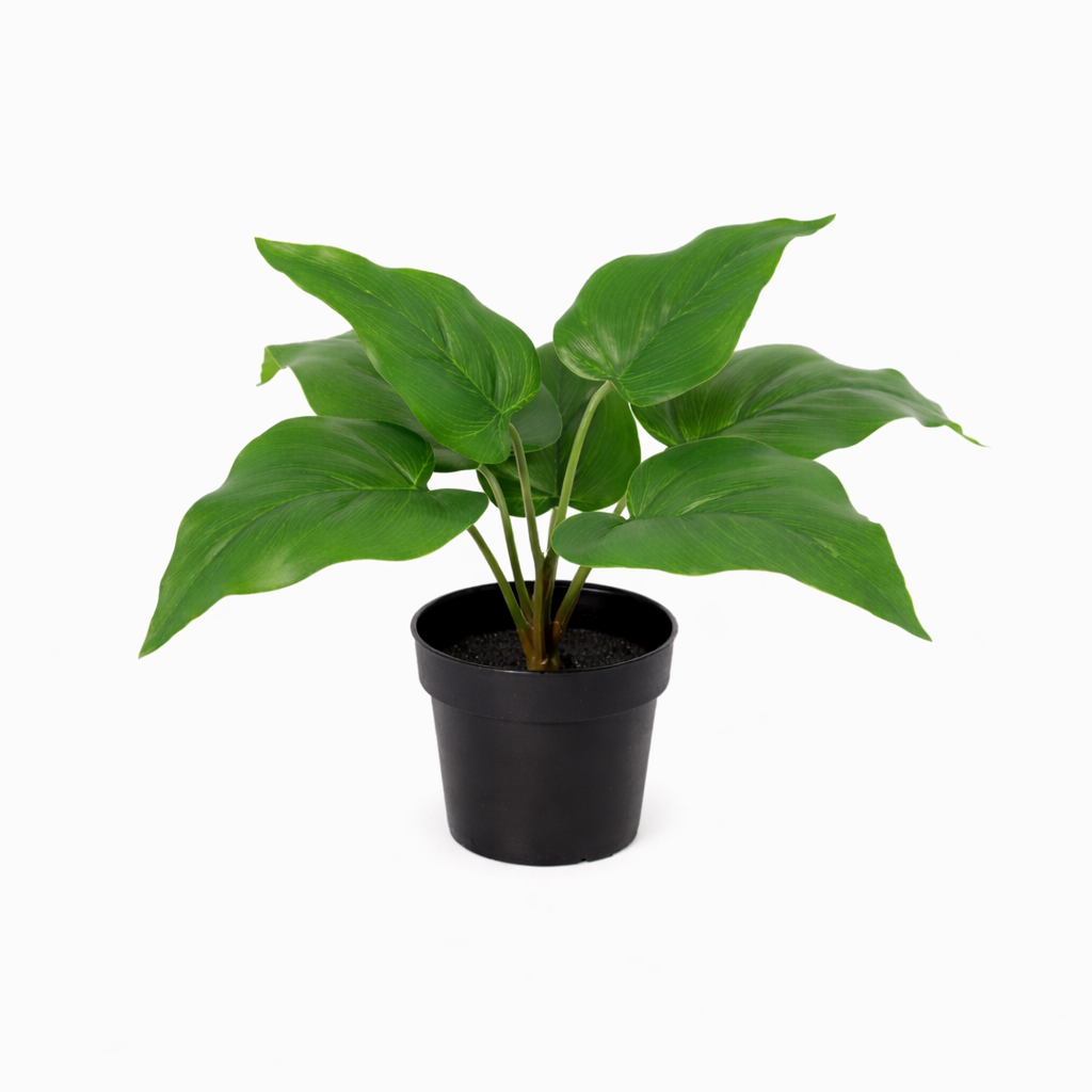 KÜNSTLICHER Philodendron Imperial Green - 25cm