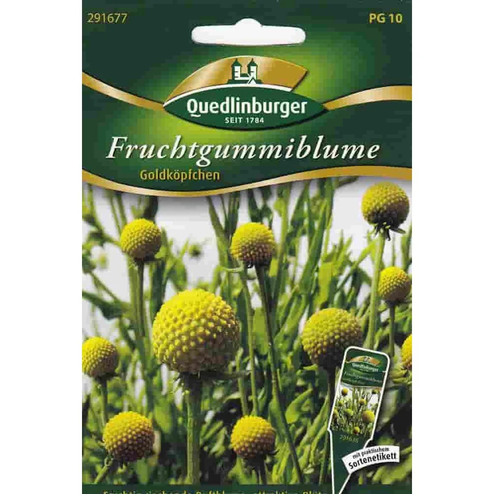 Gummibärchen Blume, Duftpflanze, einjährige Sommerblume
