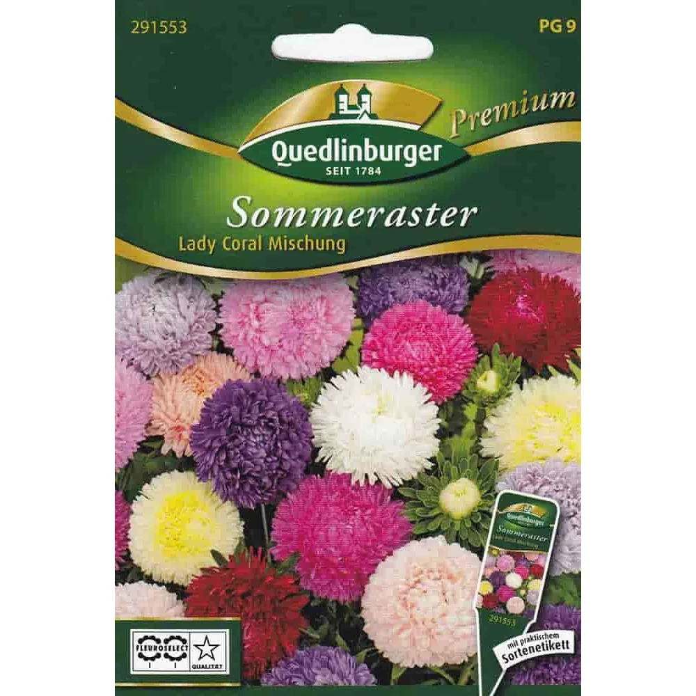 Sommerastern, Lady Coral Mischung