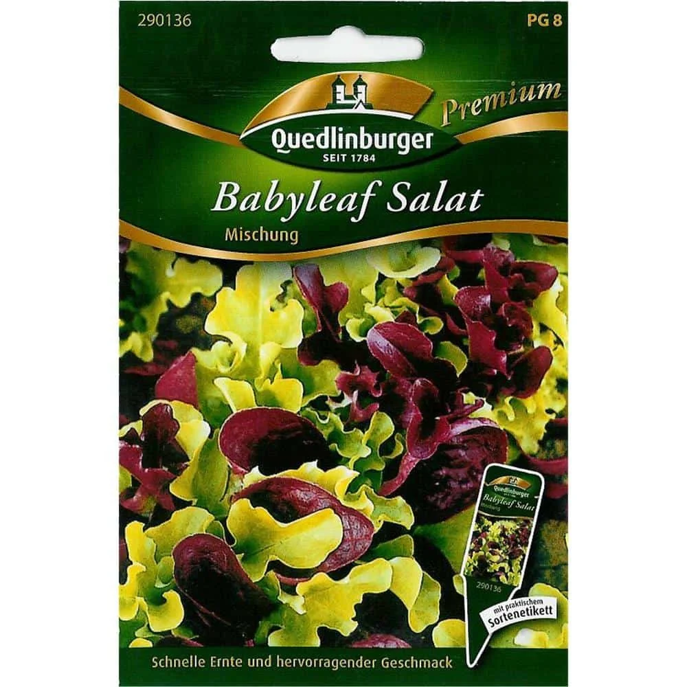 Salatsamen, Salat Mischung, Pflücksalat, Schnittsalat